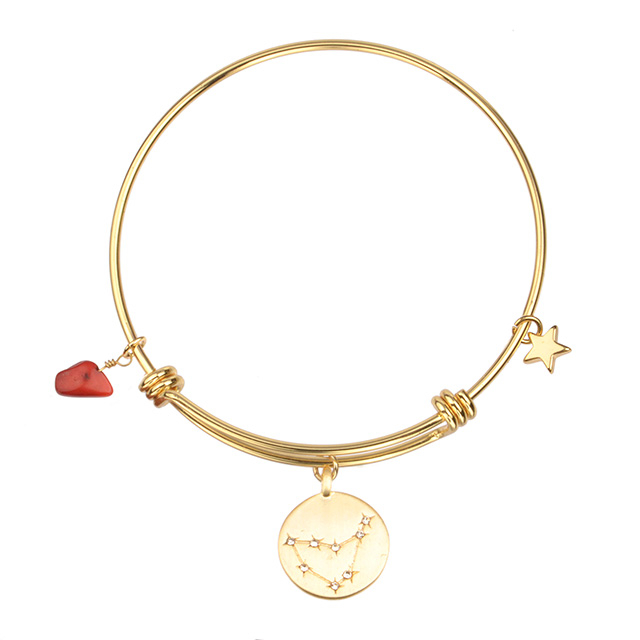 Sternzeichen-Armband für Damen, vergoldet, zierliches Sternbild, Stern-Armband, Anhänger, Charms, goldene runde Scheibe, Sternzeichen-Armband für Damen und Mädchen, Astrologie-Armband, Schmuck, Geschenk
