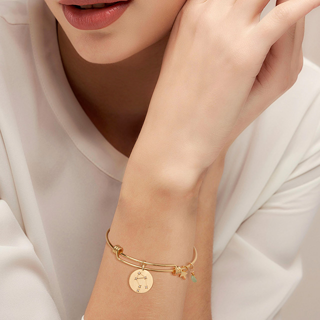 Sternzeichen-Armband für Damen, vergoldet, zierliches Sternbild, Stern-Armband, Anhänger, Charms, goldene runde Scheibe, Sternzeichen-Armband für Damen und Mädchen, Astrologie-Armband, Schmuck, Geschenk