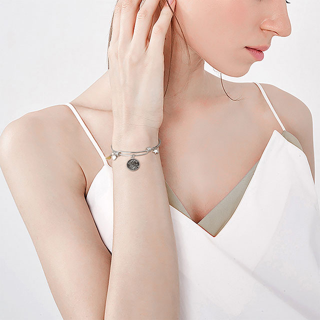 Sternzeichen-Armband für Frauen, Retro-Sternbild-Zeichen, erweiterbarer Armreif, runde Scheibe, Astrologie-Armband, Edelstein-Herz, Stern-Charms, Armbänder, Mädchen-Schmuck, Geschenk